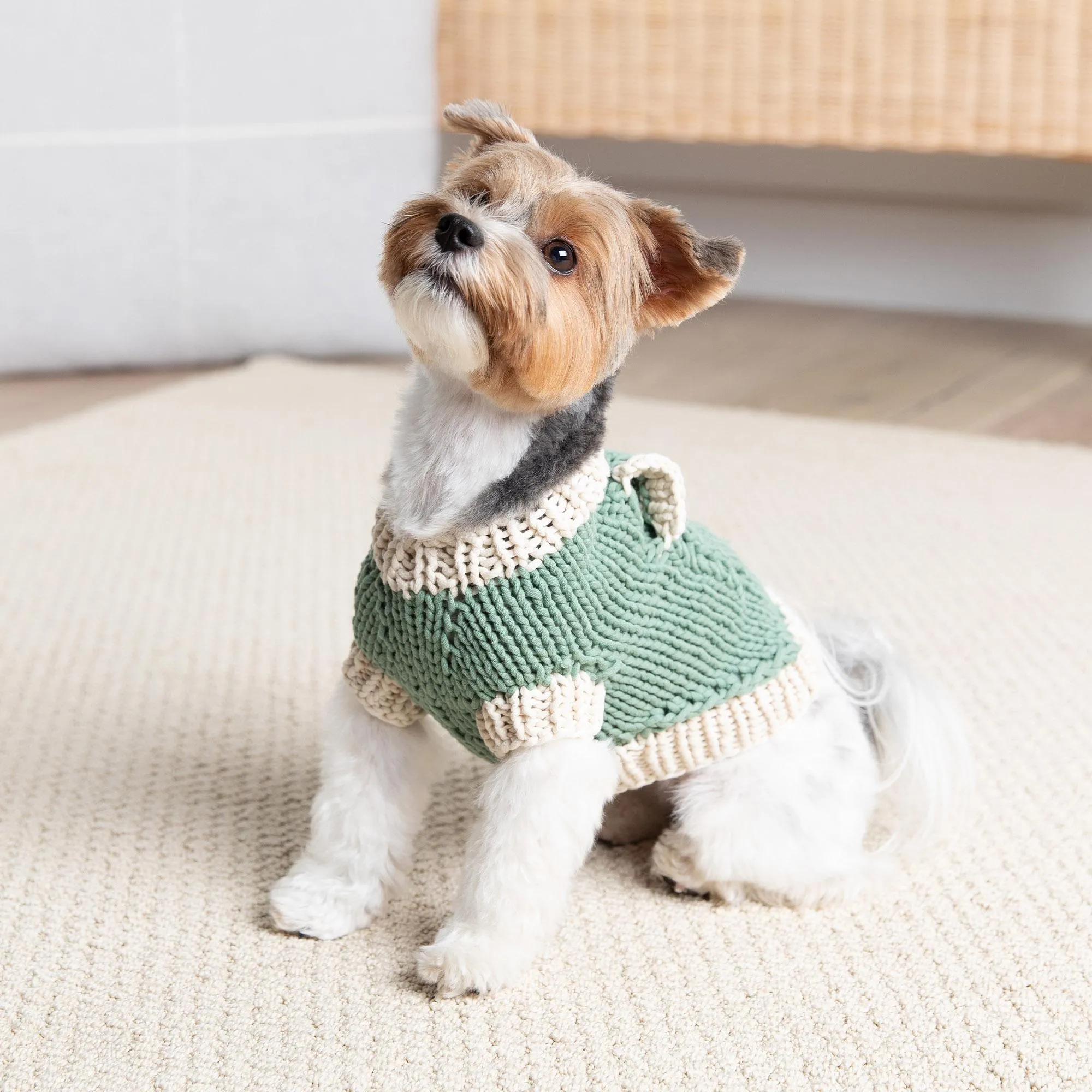 Bernat Classic Knit Sweater for Dogs