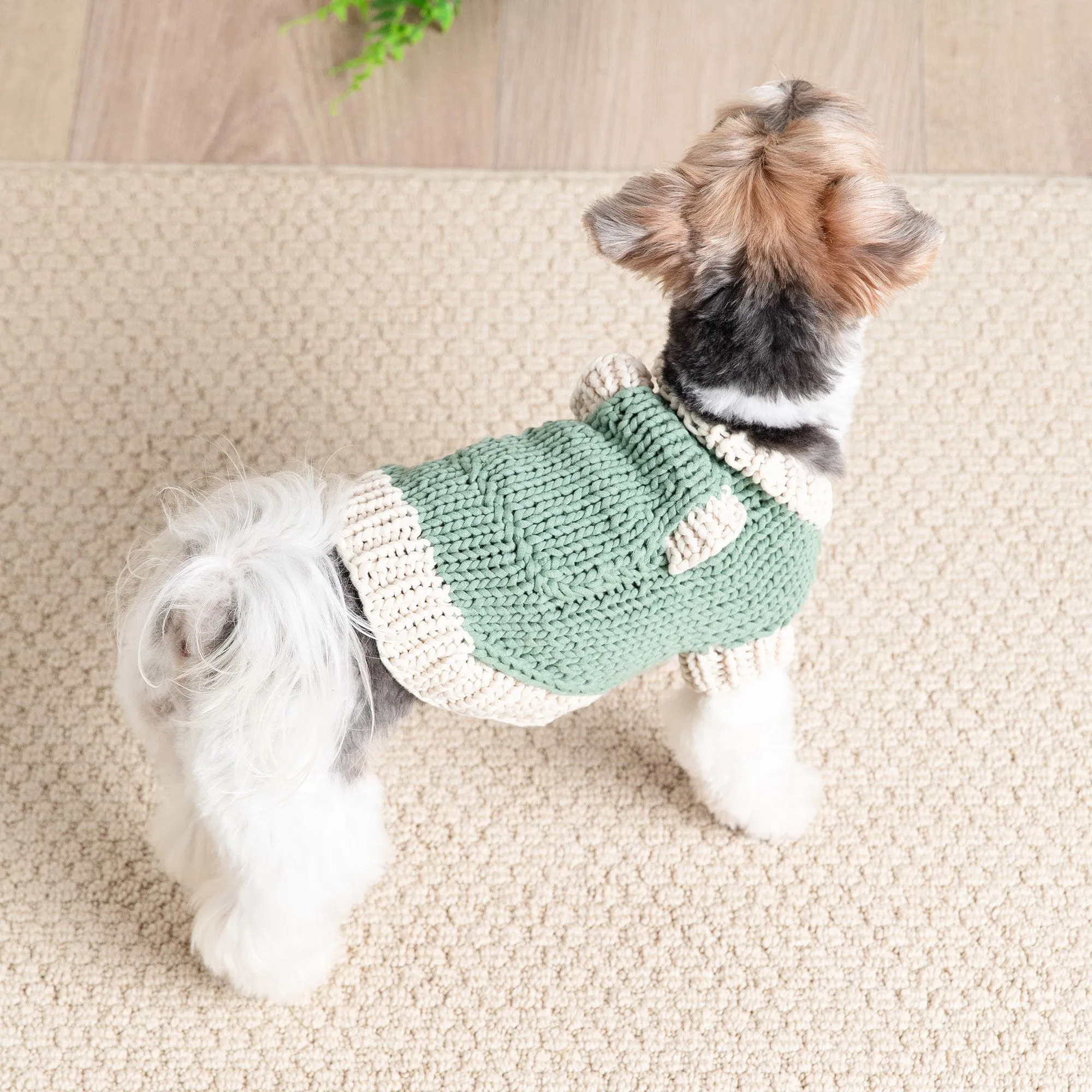 Bernat Classic Knit Sweater for Dogs