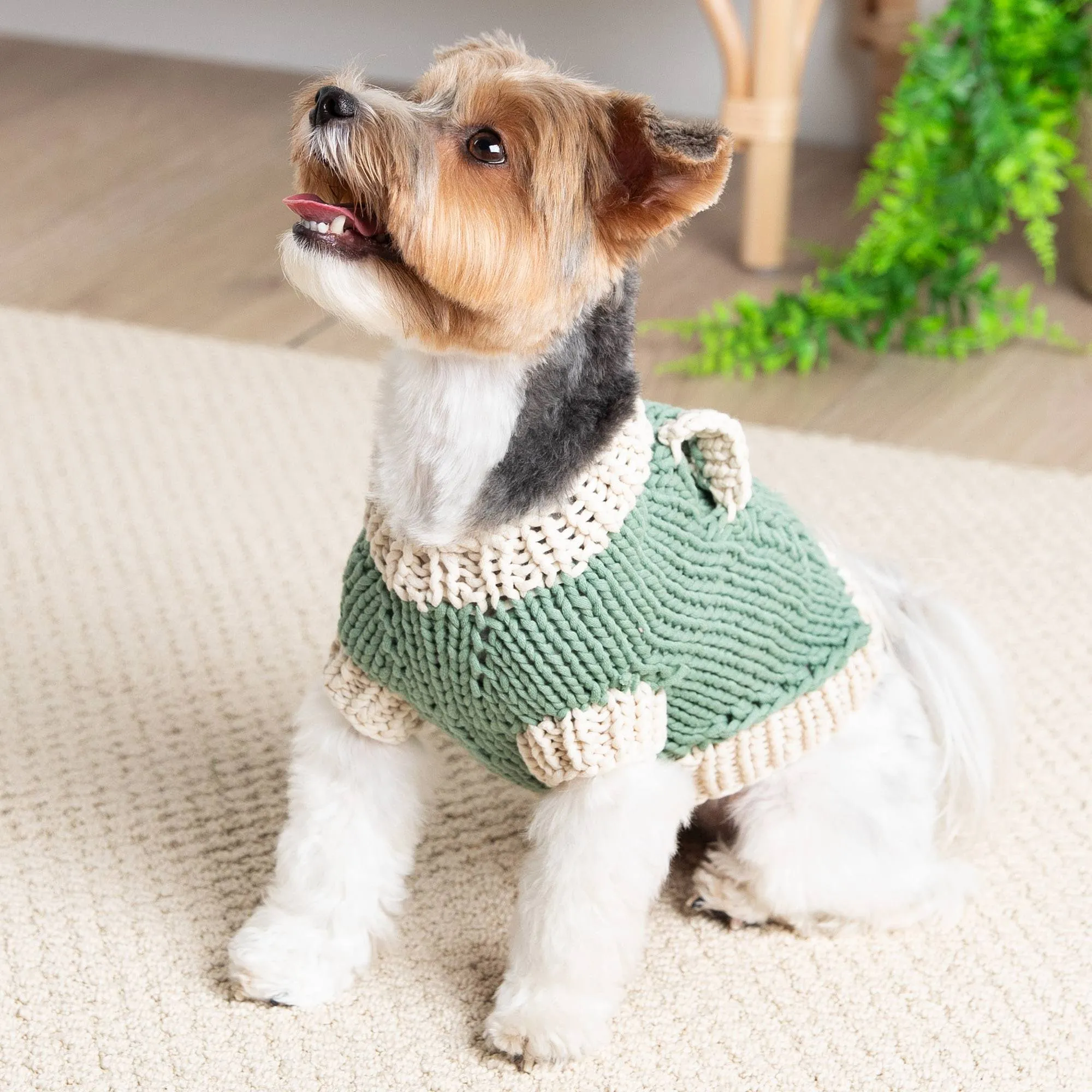 Bernat Classic Knit Sweater for Dogs