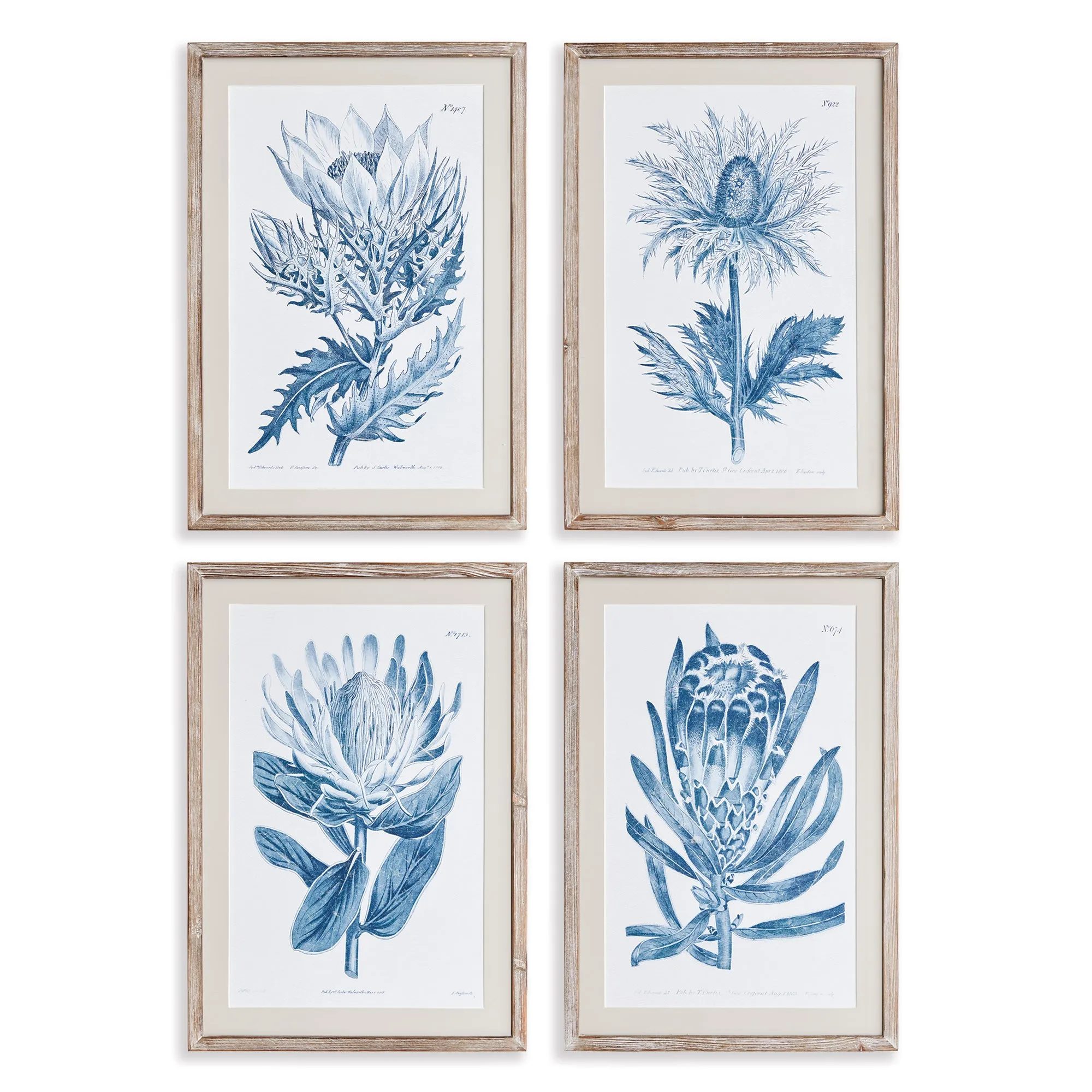 INDIGO PROTEA PRINTS, SET OF 4 BY NAPA HOME & GARDEN